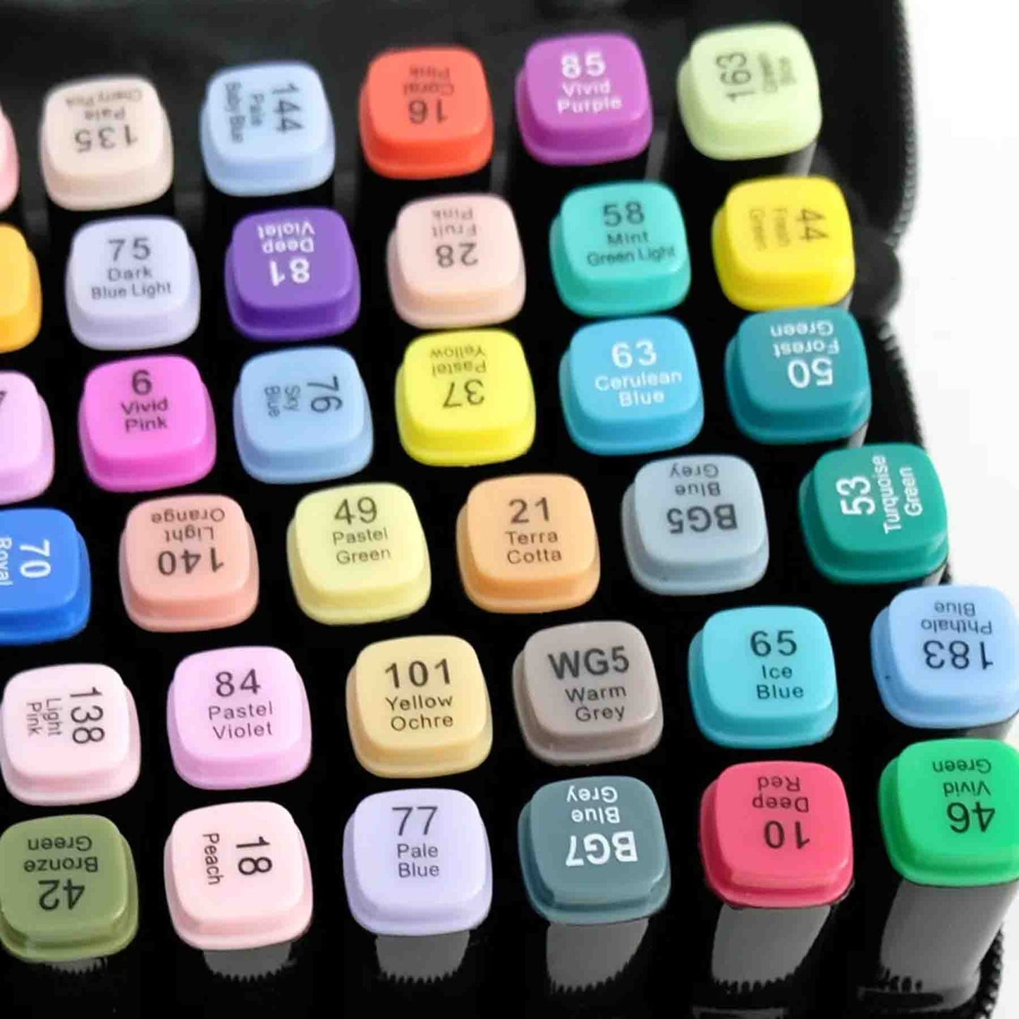 Set de Marcadores Profesionales Doble Punta - 80 Colores