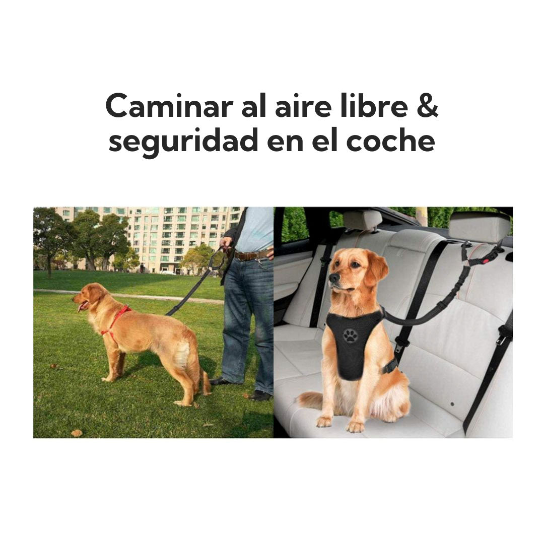 Cinturón de Seguridad para Mascotas Pro Outdoor