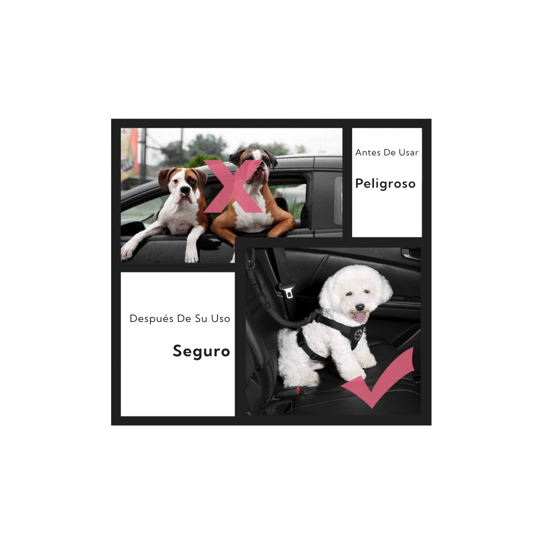 Cinturón de Seguridad para Mascotas Pro Outdoor