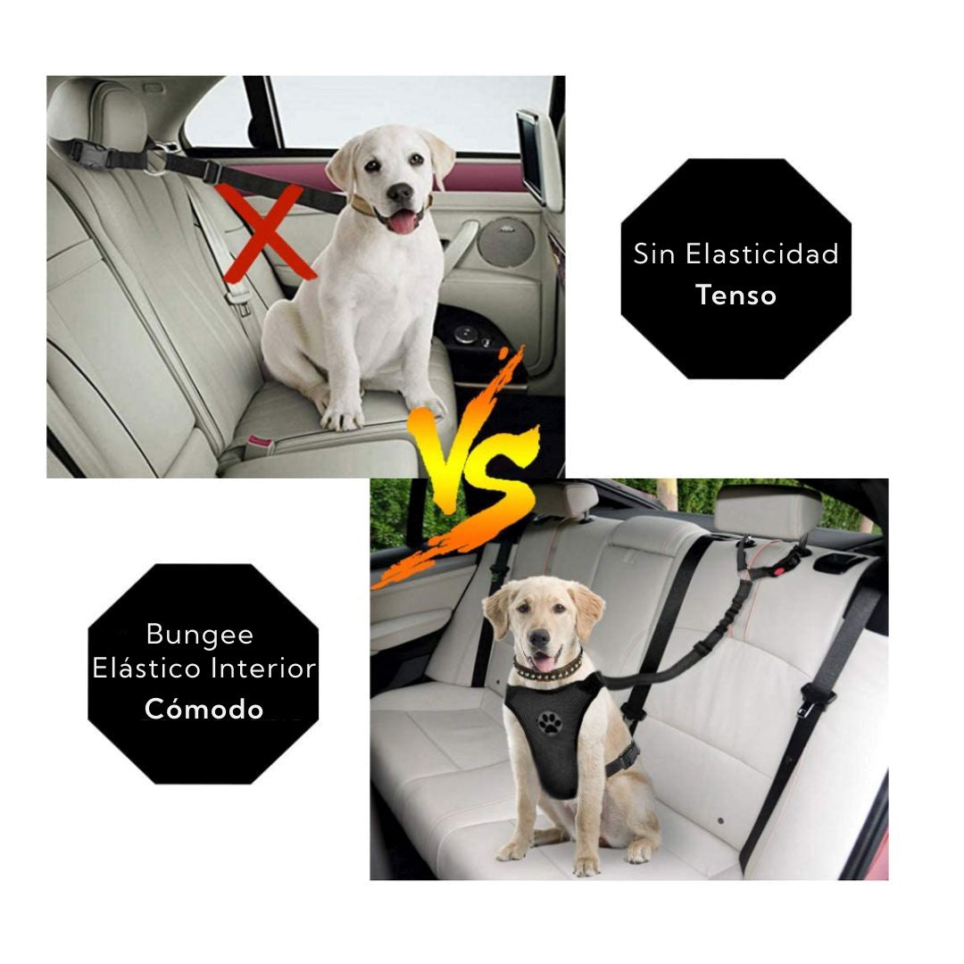 Cinturón de Seguridad para Mascotas Pro Outdoor